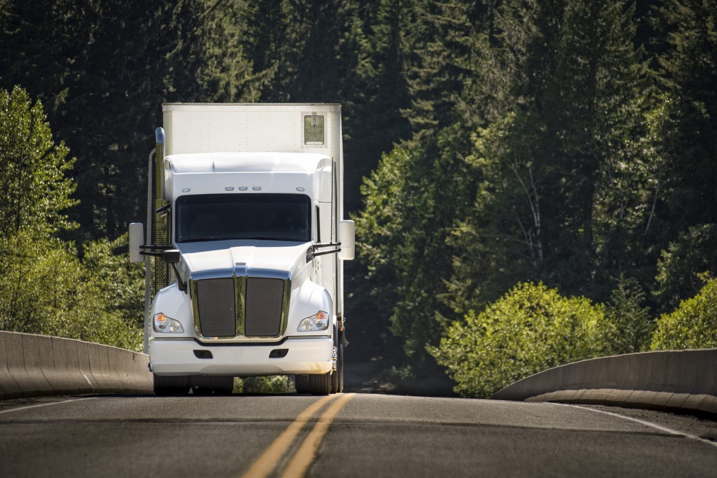Land Transport Services